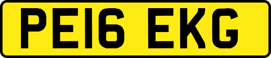 PE16EKG