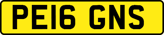 PE16GNS