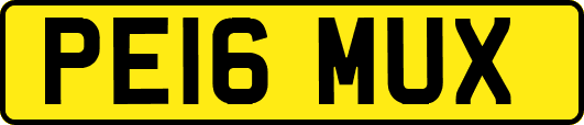 PE16MUX