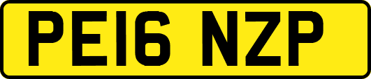 PE16NZP