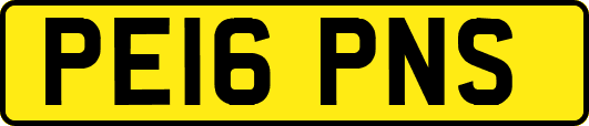 PE16PNS