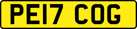 PE17COG