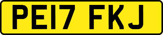 PE17FKJ