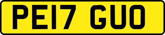 PE17GUO