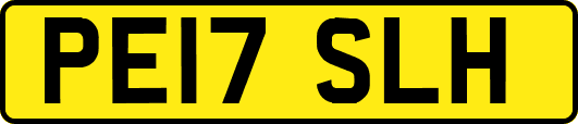 PE17SLH