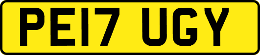 PE17UGY