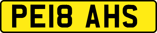 PE18AHS