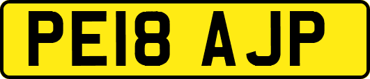 PE18AJP
