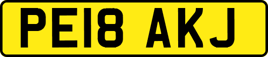 PE18AKJ