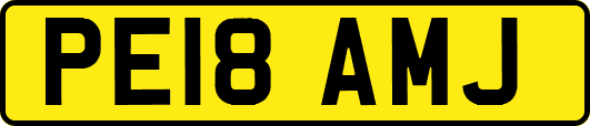 PE18AMJ