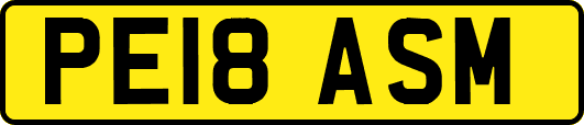 PE18ASM