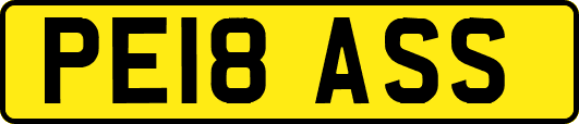 PE18ASS