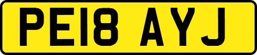 PE18AYJ