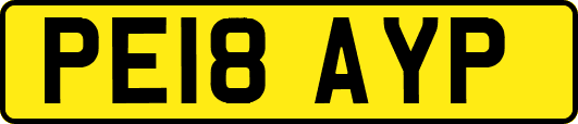 PE18AYP