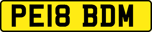 PE18BDM