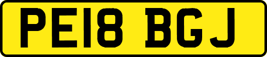 PE18BGJ