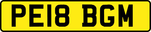 PE18BGM