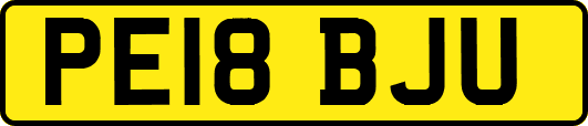 PE18BJU