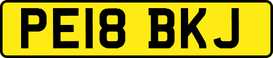 PE18BKJ