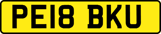 PE18BKU