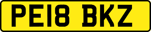 PE18BKZ