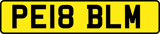 PE18BLM