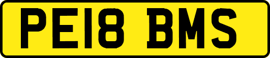 PE18BMS