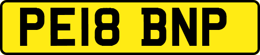 PE18BNP