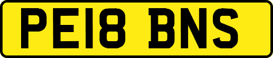 PE18BNS