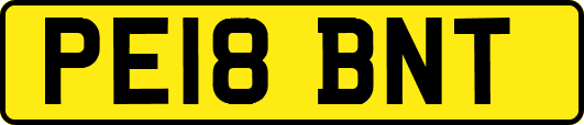 PE18BNT