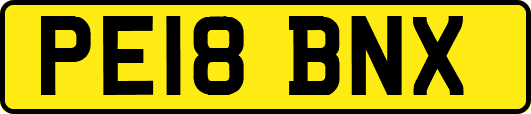 PE18BNX