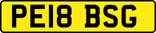 PE18BSG