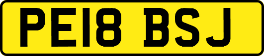 PE18BSJ