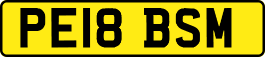 PE18BSM