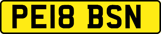 PE18BSN