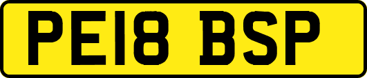PE18BSP