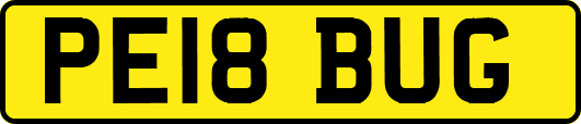 PE18BUG