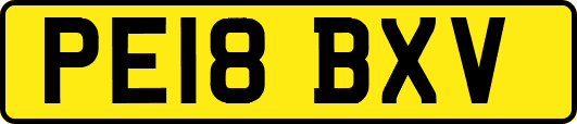 PE18BXV