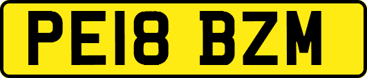 PE18BZM