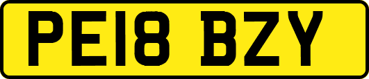 PE18BZY