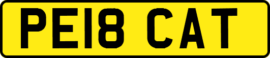 PE18CAT