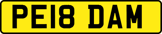 PE18DAM