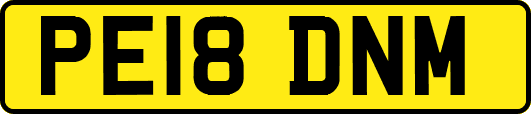 PE18DNM
