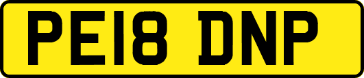 PE18DNP