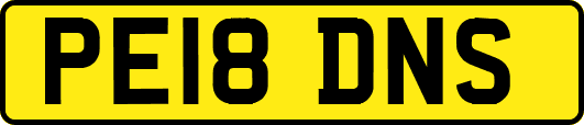 PE18DNS