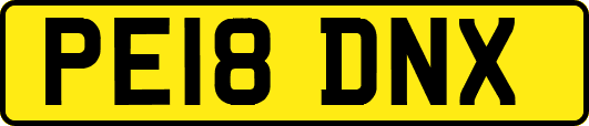 PE18DNX