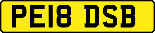PE18DSB