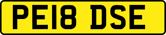 PE18DSE