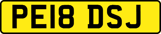 PE18DSJ