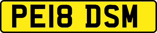 PE18DSM